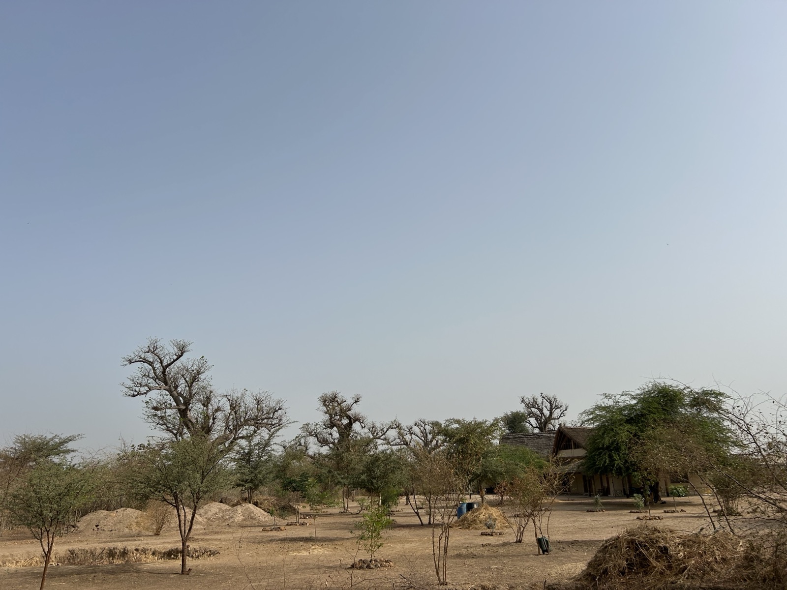 Thiafoura landscape in dry season
